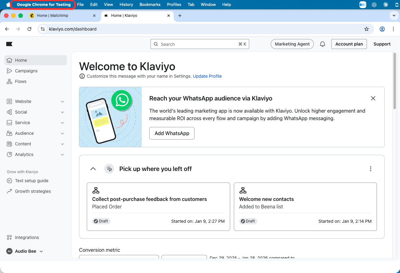 Separate browser window with Mailchimp and Klaviyo tabs open